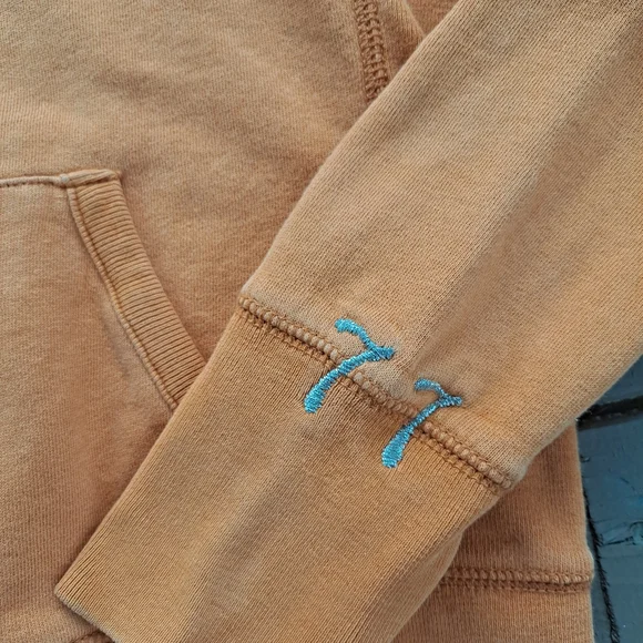 American Eagle Outfitters Burnt Orange Hoodie with Eagle Emblem - Picture 2 of 6